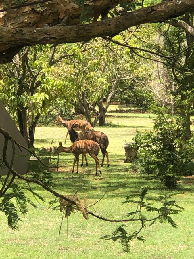Jock Of The Bushveld Hotel Barberton Exterior photo